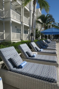 IMG_9316 IMG_9316