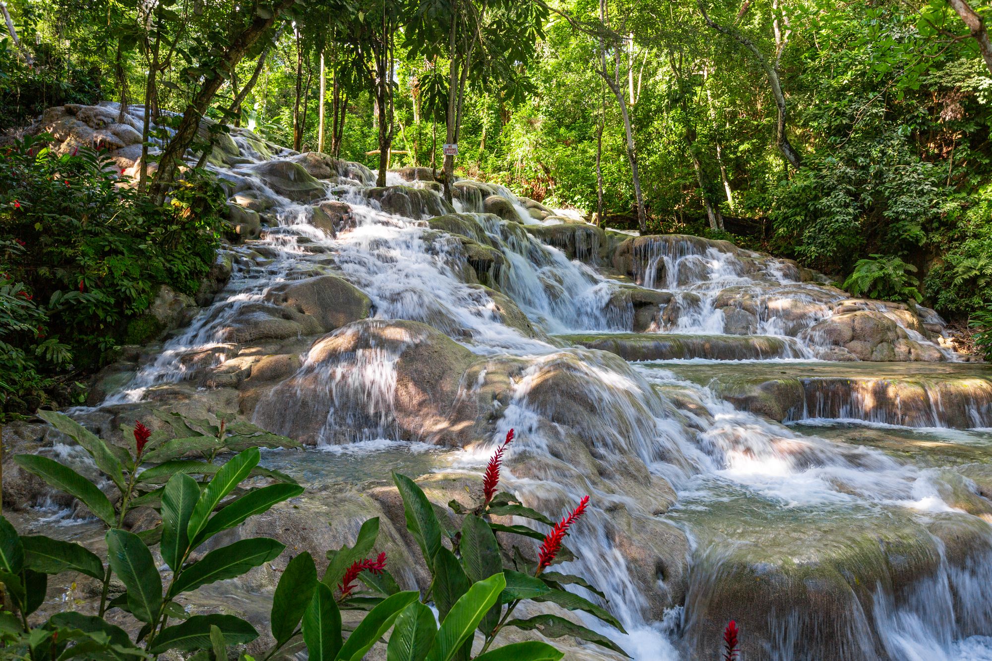 Dunns_River_Falls_1_0440