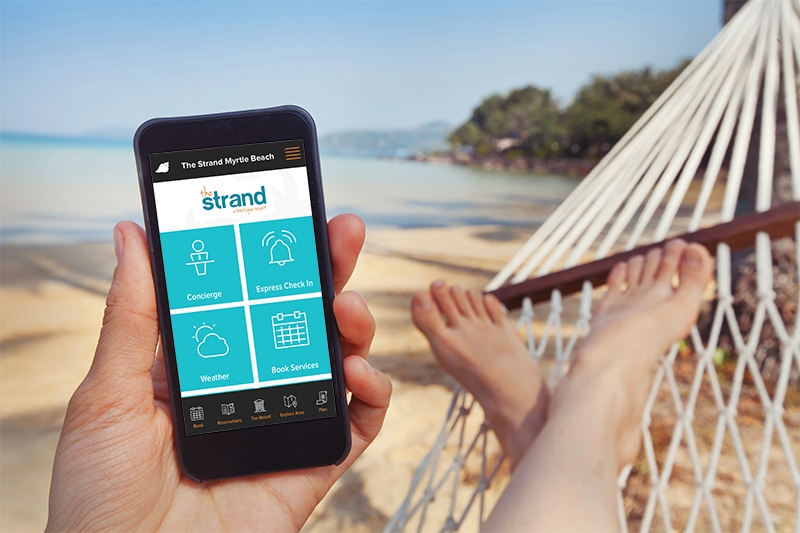 person in a hammock on the beach holding smartphone